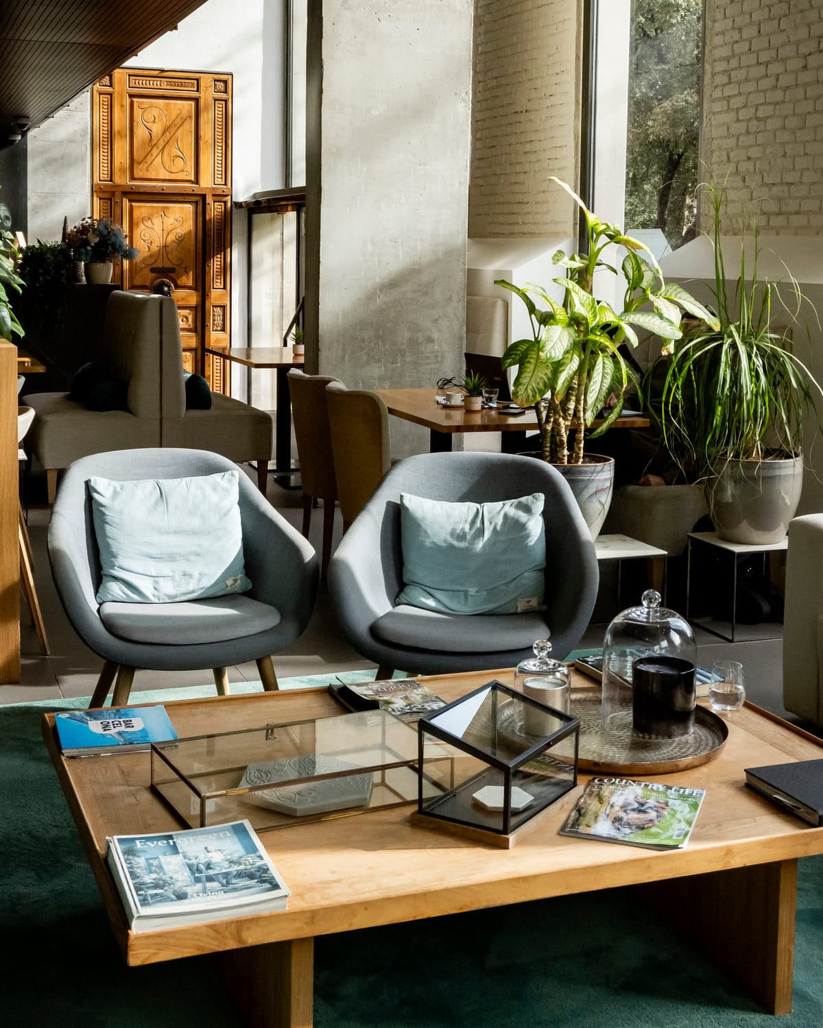 Occidental 414