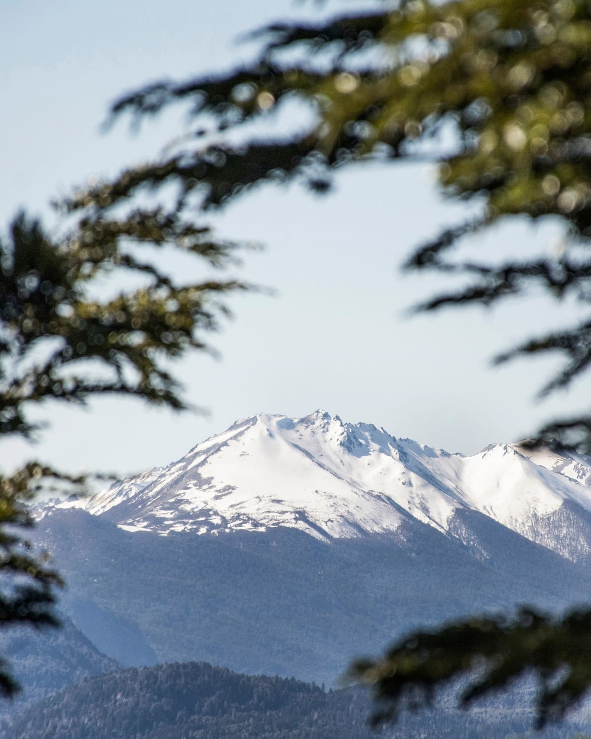 La Patagonia